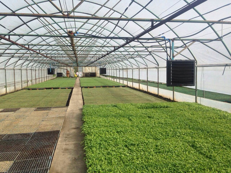 Aeroterma cu agent termic Reventon HC35-3S 40.1kW